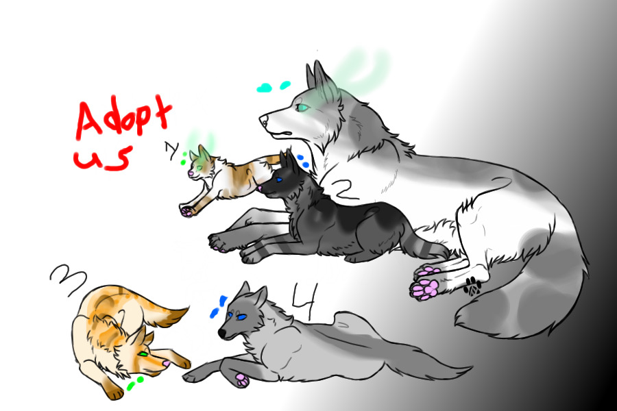 Adopt us / Breed with Jay!