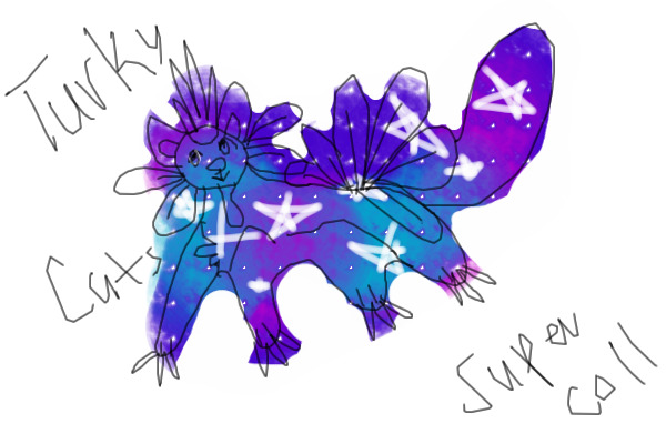 turky cat #1.1