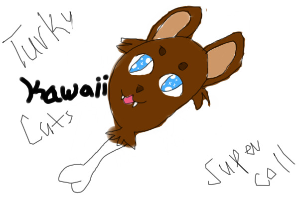 turky cat #1.1.1