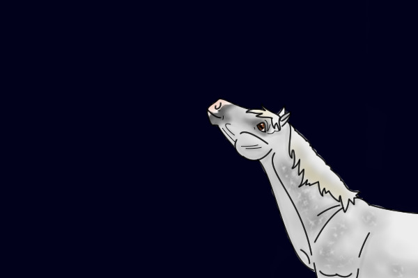horseh
