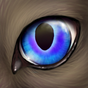 Blue Wolf Eye