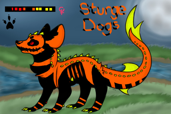 Sturge Dogs Halloween edition!