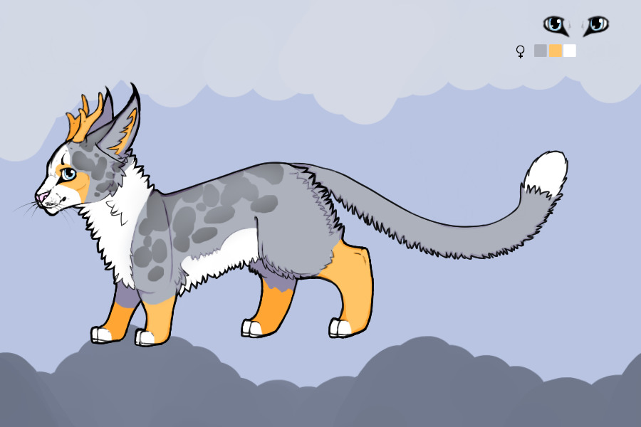 Adopt 24