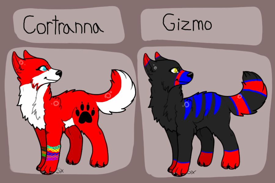 Cortranna and Gizmo