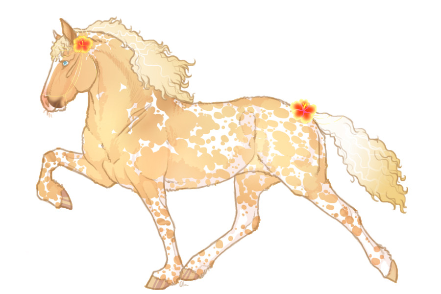 Bashmoor Curly Ponies ♥ #120