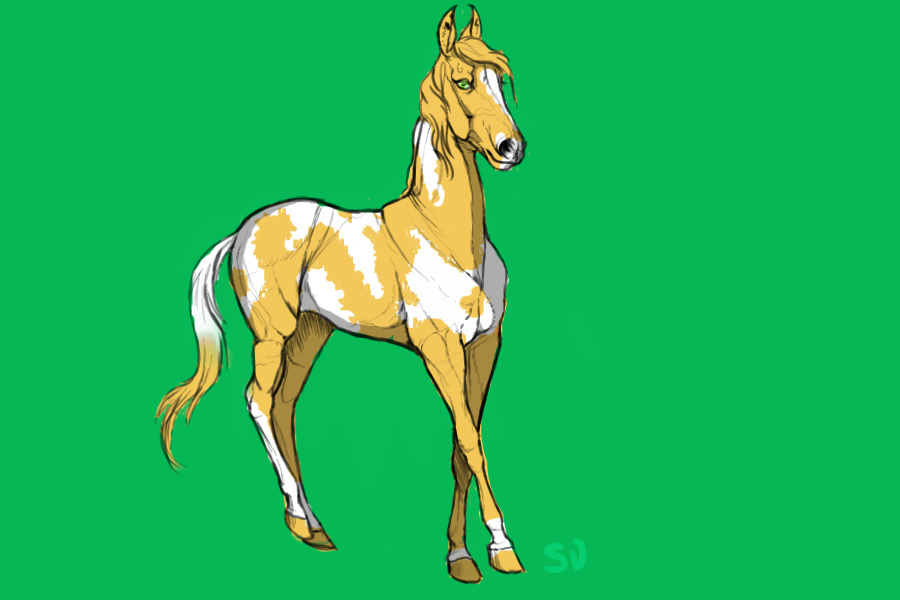 Halloween Wari Adopt