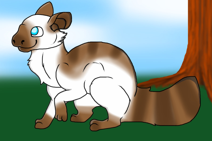 Filloki Adopt 2