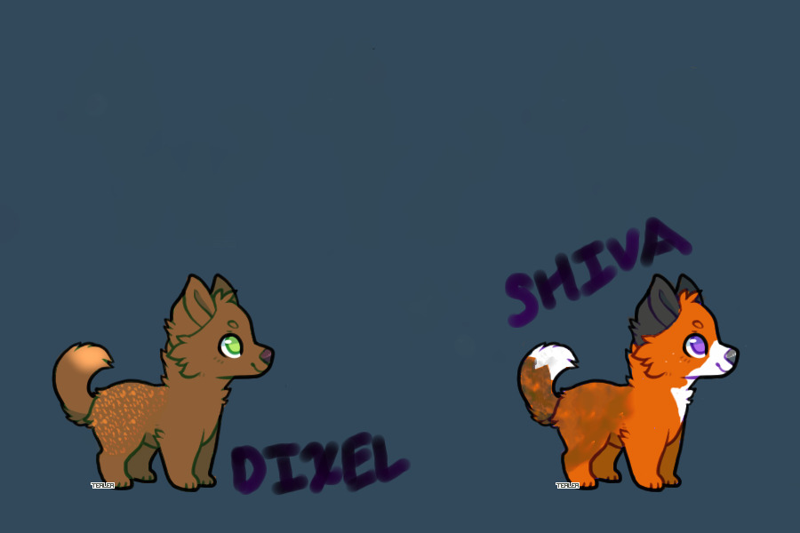 Dixel and Shiva