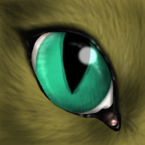 Eagletail's eye