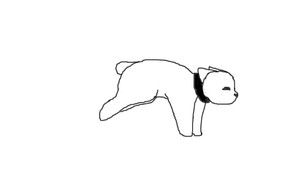 Cat (first time using Okekai)