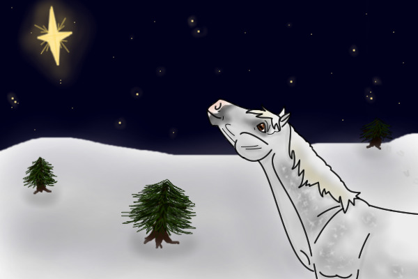 Star of Bethlehem