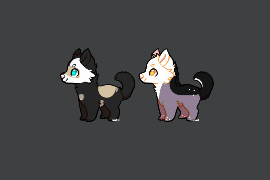 Characters for ty_tay