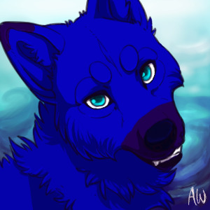 Yet another Nova avatar.