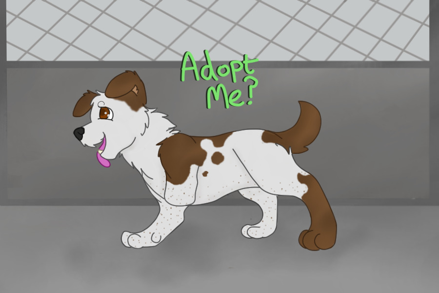 Animal Ark - #7 - Scruffy Terrier