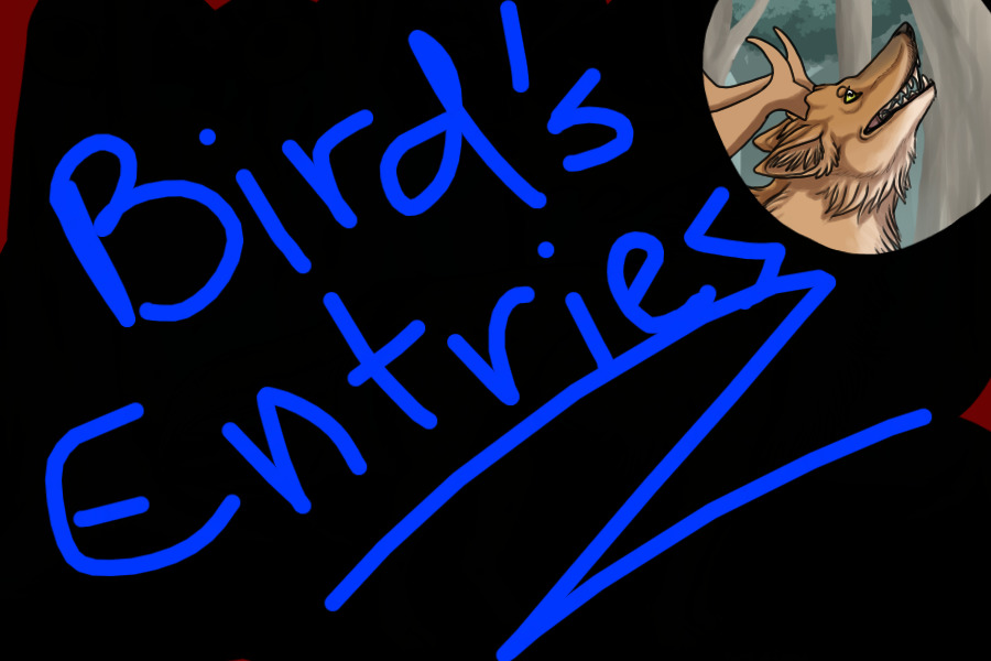 Birdsie's Entries