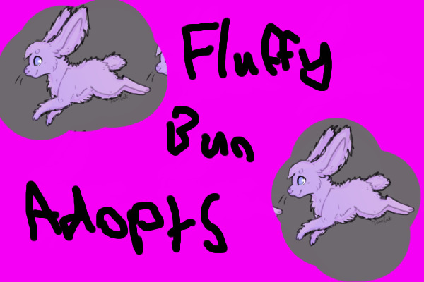 Fluffy bun adopts