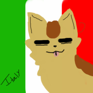 Italy cat from Hetalia ):D