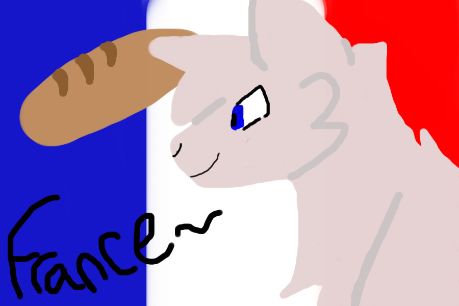 France the cat * nekotalia *