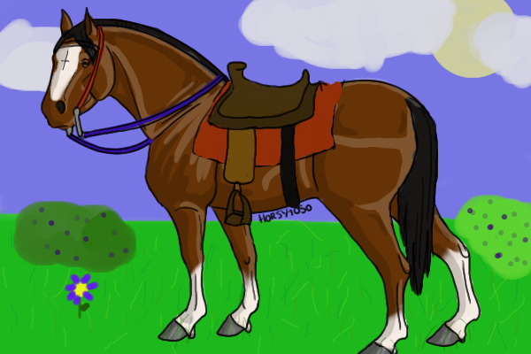 Nicholas in a meadow