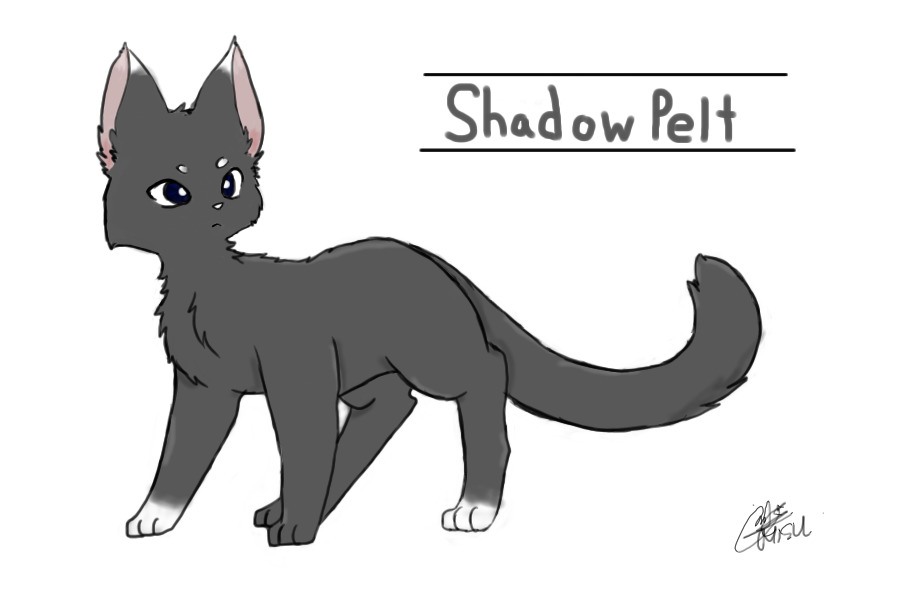 Shadow Pelt