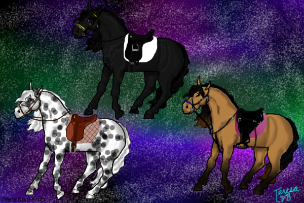Horse Colourin
