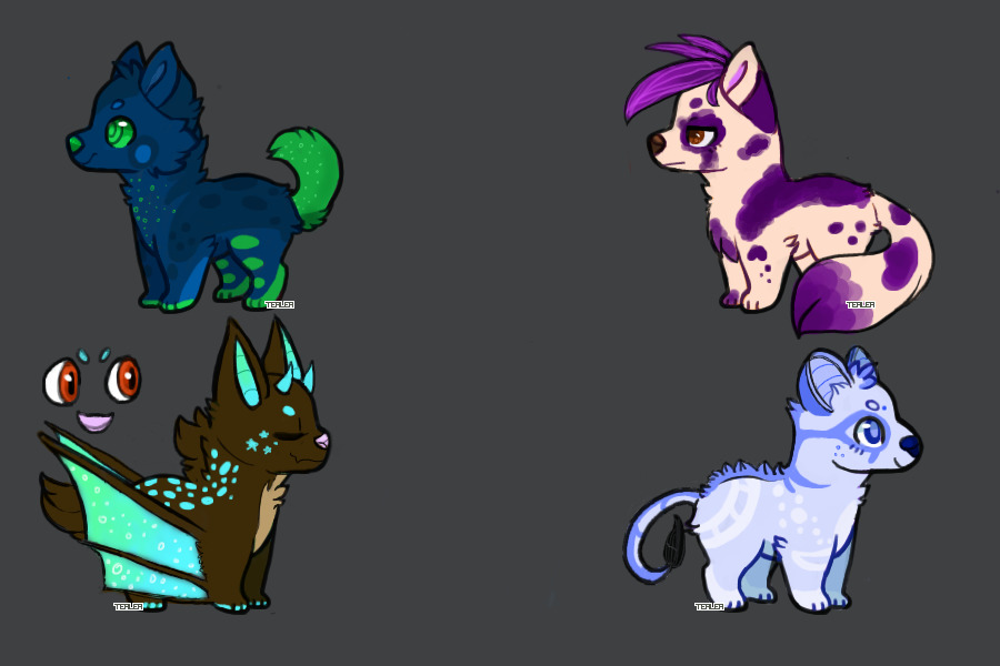 Some more Adopts