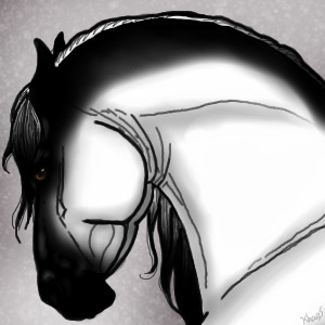 Horse Avatar Colourin