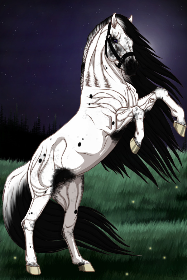 ~❊~ #115 Midnight Stallions ~❊~