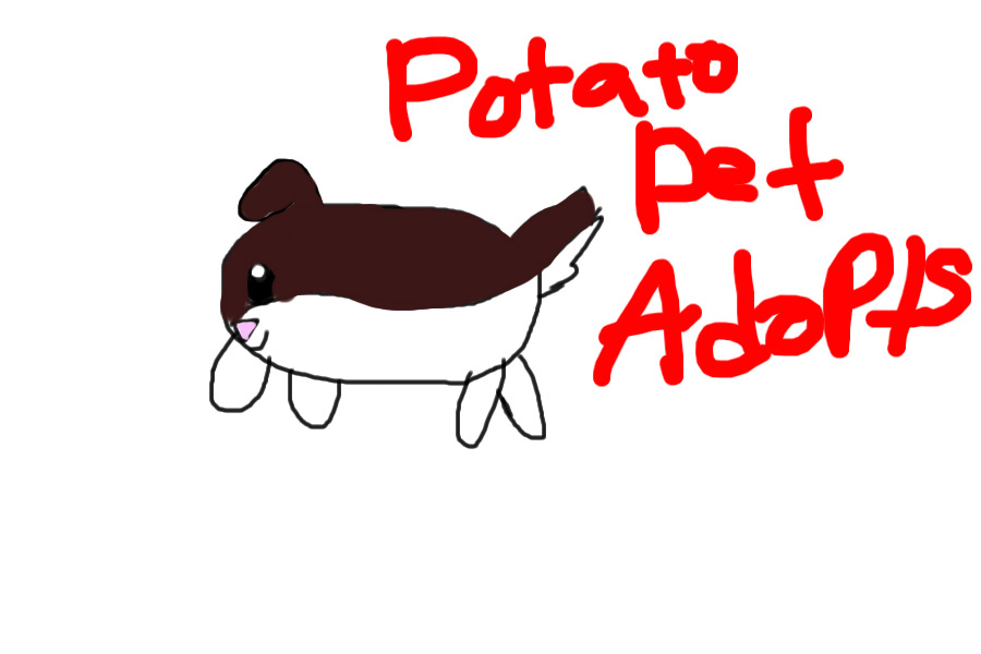 Potato pet adopts