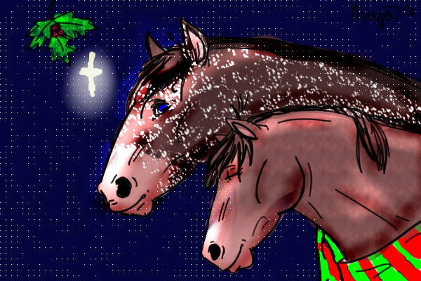 Horses Together on Christmas