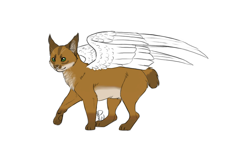 Bear the Winged Caracal WIP (missed some markings)