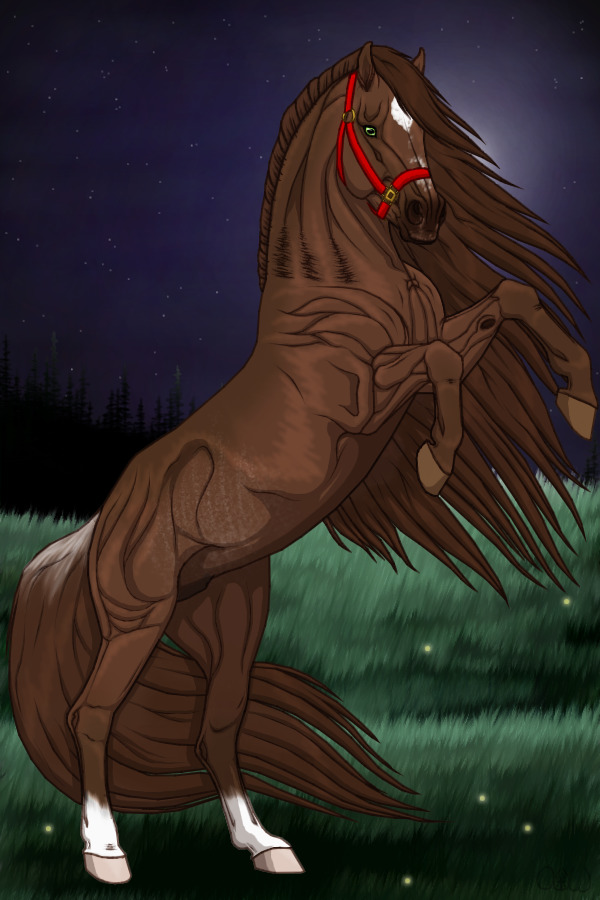~❊~ #117 Midnight Stallions ~❊~