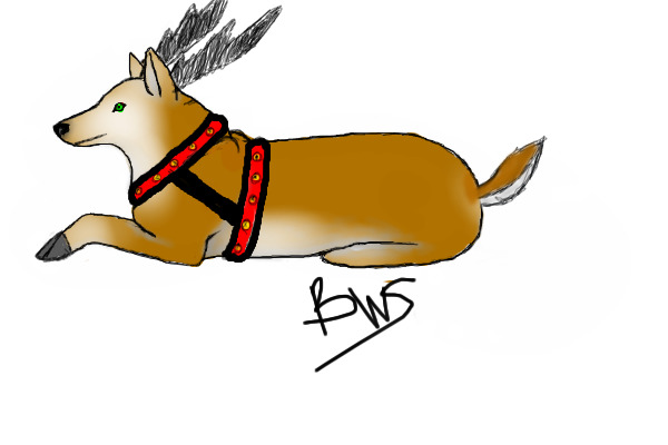 Deer