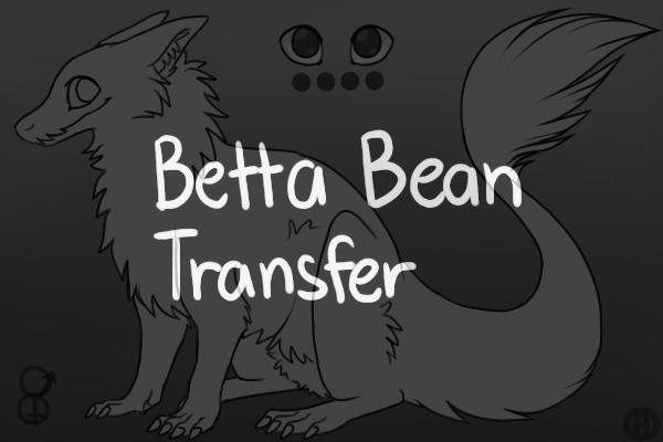 Betta bean Transfer