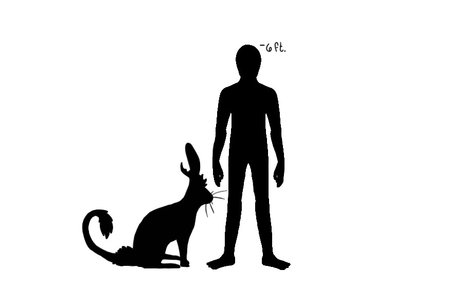 Miraj Hare size comparison