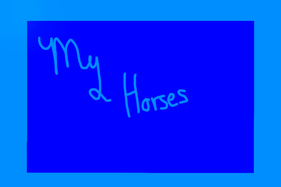 My Horses