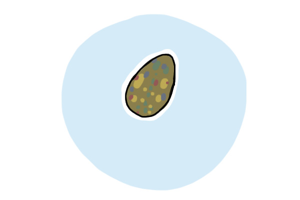 egg