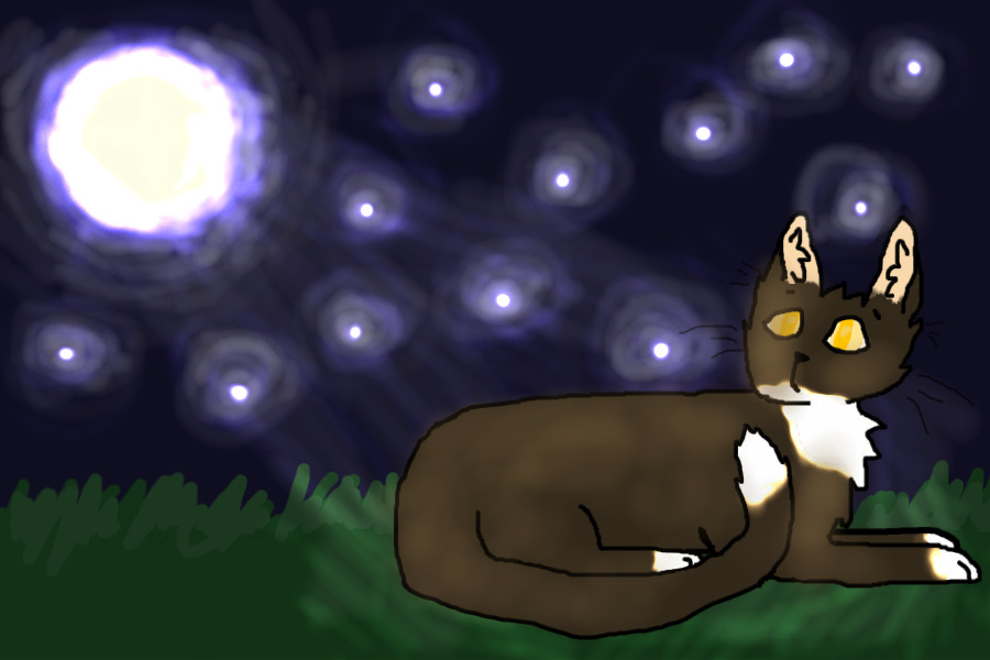 A New Star in Silverpelt Tonight