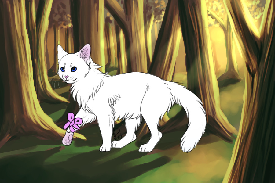 Senorita For Milatiger