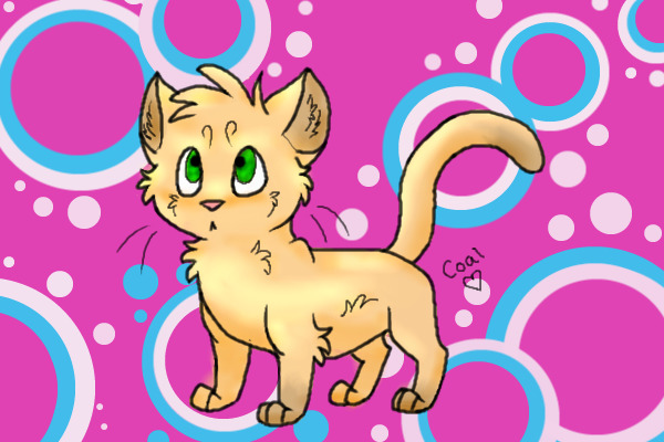 meow