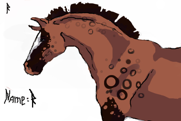 Bay Horse