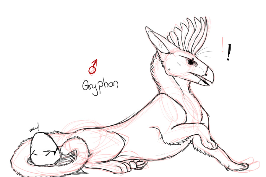 Male Adult Gryphon