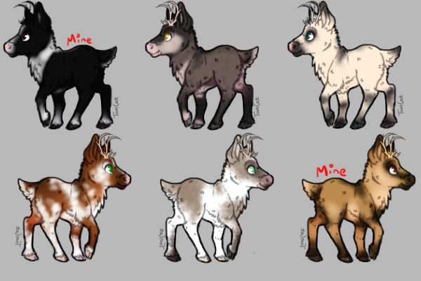 Free Reindeer Adopts!