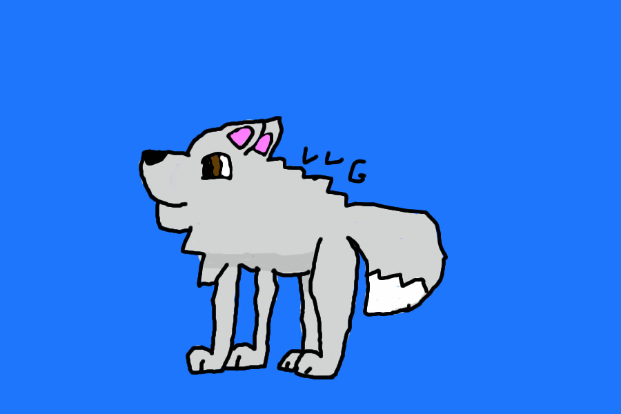 A Wolf