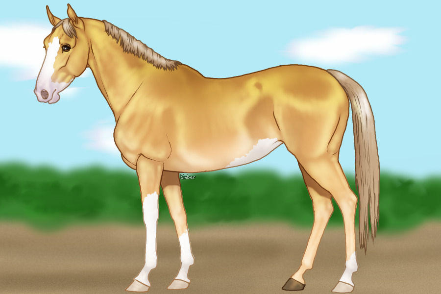 Polish Warmblood