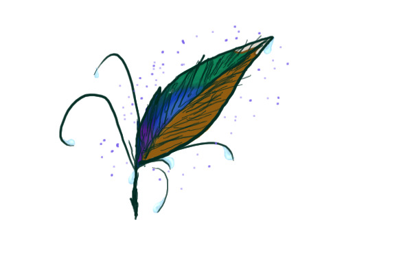 Feather Entry!