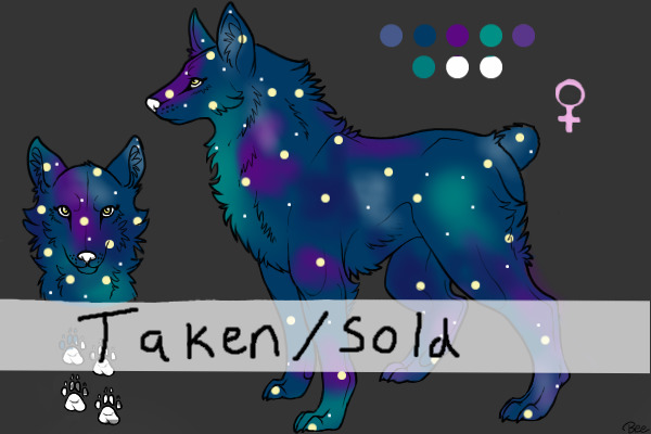 Galaxy Wolf adopt