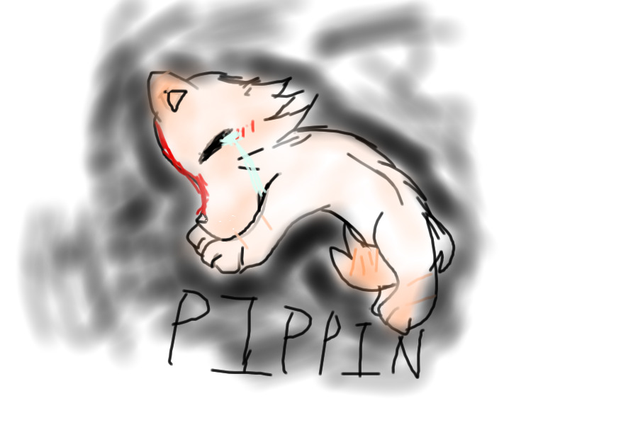 Stray cats roleplay Pippin