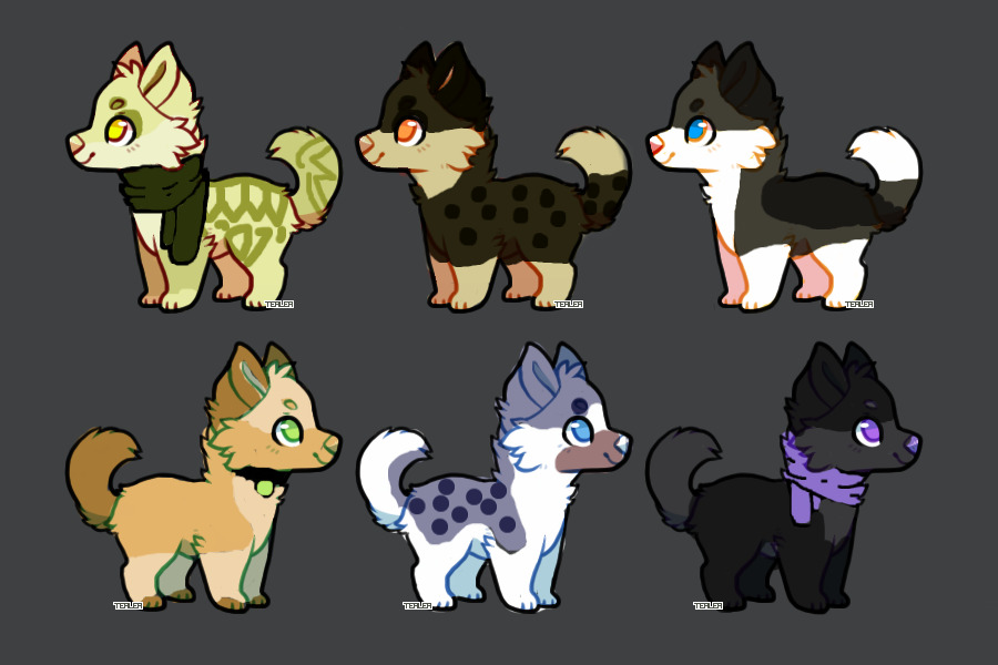 FOR SALE ADOPTABLES!