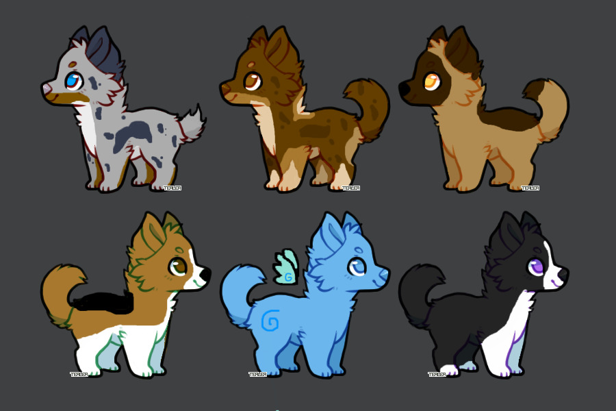 Colored in pups!